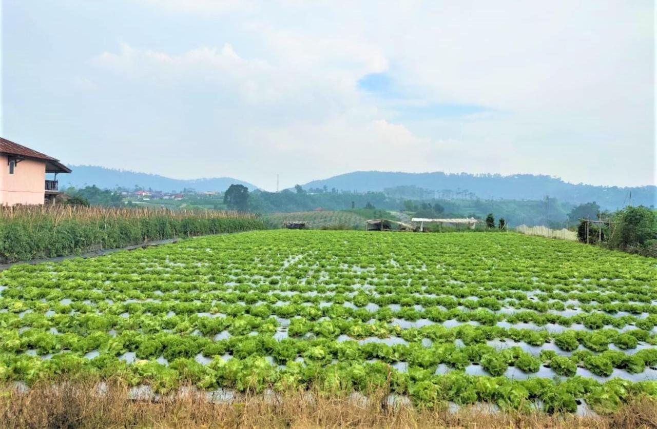 Villa Lembang Bunda Cikareumbi Bagian luar foto